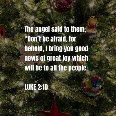 Christmas 2020 Photo 34